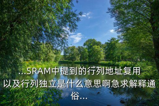 ...SRAM中提到的行列地址復用以及行列獨立是什么意思啊急求解釋通俗...