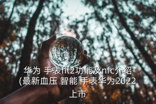 智能手表銷售數(shù)據(jù)