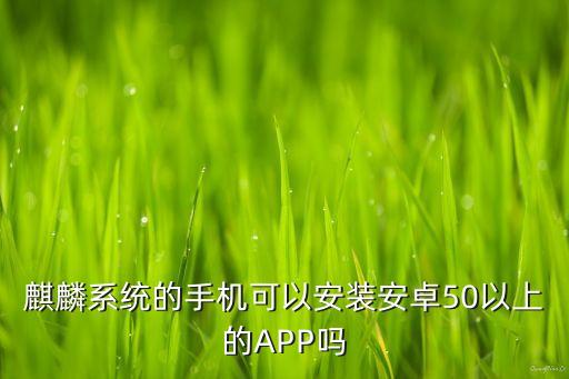 麒麟系統(tǒng)的手機(jī)可以安裝安卓50以上的APP嗎