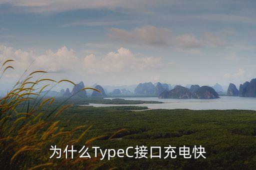 typec數(shù)據(jù)線針腳少幾個,typec是怎么一回事?