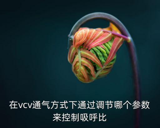 吸呼比，通氣比和吸呼比是一回事嗎