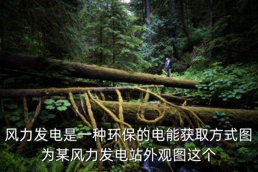 風(fēng)力發(fā)電圖片，風(fēng)力發(fā)電機(jī) 結(jié)構(gòu)圖