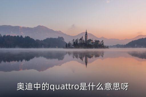 奧迪中的quattro是什么意思呀