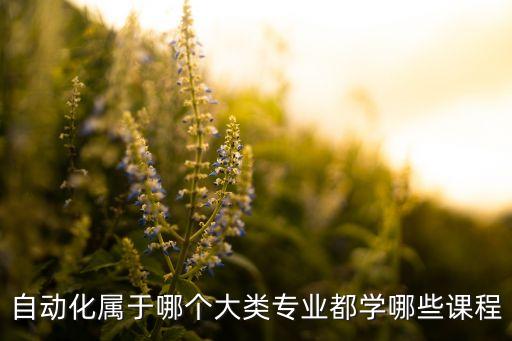 自動(dòng)化屬于哪個(gè)大類專業(yè)都學(xué)哪些課程