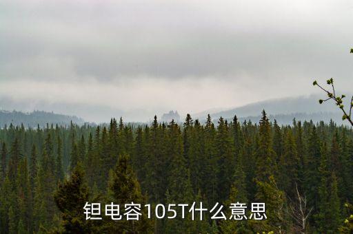 鉭電容105T什么意思