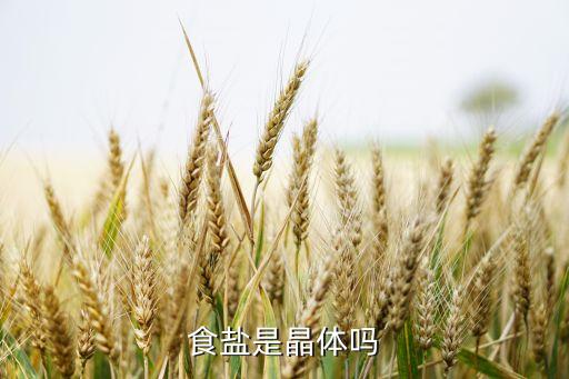 什么是晶體，食鹽是晶體嗎