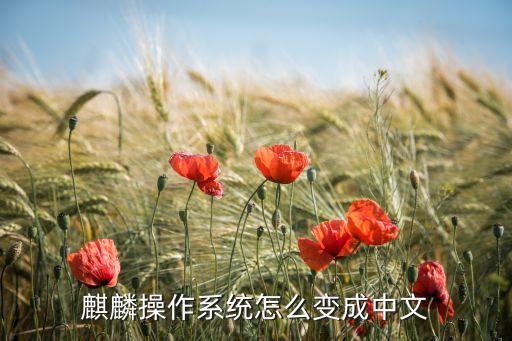麒麟系統(tǒng)，麒麟系統(tǒng)的手機可以安裝安卓50以上的APP嗎