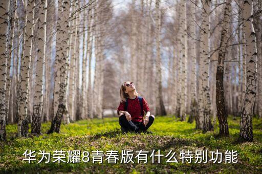 華為榮耀8青春版，華為榮耀8青春版有什么特別功能