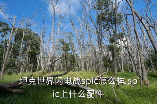 坦克世界閃電戰(zhàn)spic怎么樣 spic上什么配件