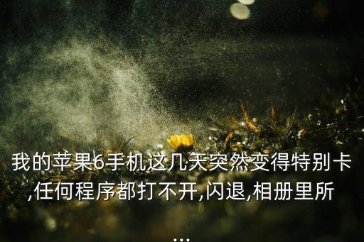 我的蘋果6手機(jī)這幾天突然變得特別卡,任何程序都打不開,閃退,相冊里所...