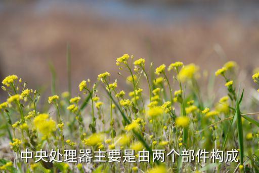 中央處理器主要是由兩個部件構(gòu)成