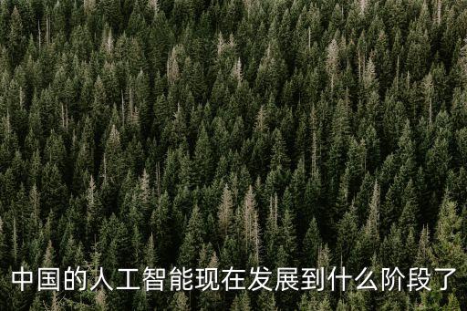 中國(guó)的人工智能現(xiàn)在發(fā)展到什么階段了