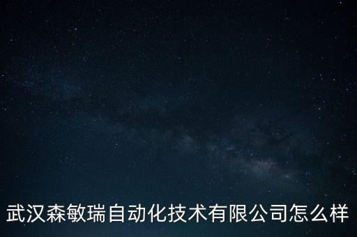 武漢森敏瑞自動(dòng)化技術(shù)有限公司怎么樣