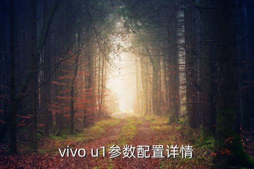 vivo u1參數(shù)配置詳情