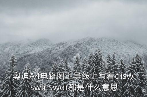 奧迪A4電路圖上導線上寫著disw swlr swdr都是什么意思
