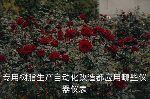 專用樹脂生產自動化改造都應用哪些儀器儀表