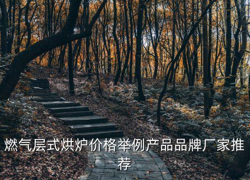大型烘焙自動化設(shè)備價格,烘焙機械有哪些用途?