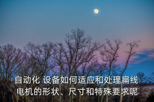  自動(dòng)化 設(shè)備如何適應(yīng)和處理扁線 電機(jī)的形狀、尺寸和特殊要求呢