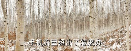手機流量超出了怎麼辦