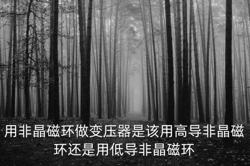 用非晶磁環(huán)做變壓器是該用高導(dǎo)非晶磁環(huán)還是用低導(dǎo)非晶磁環(huán)