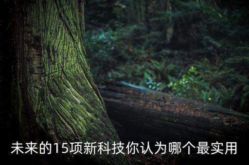 未來的15項(xiàng)新科技你認(rèn)為哪個(gè)最實(shí)用