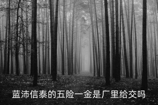 藍沛信泰的五險一金是廠里給交嗎