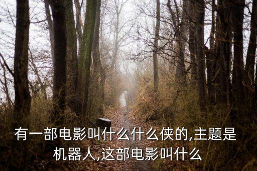 有一部電影叫什么什么俠的,主題是 機器人,這部電影叫什么
