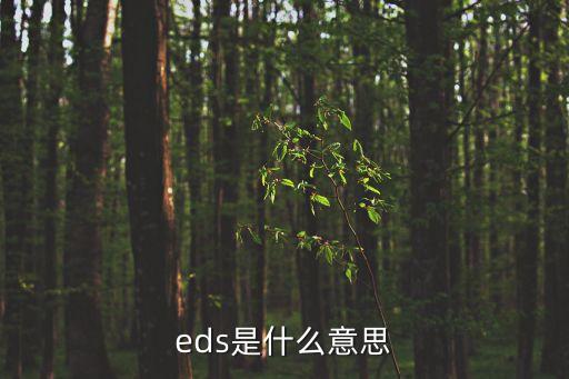 eds是什么意思