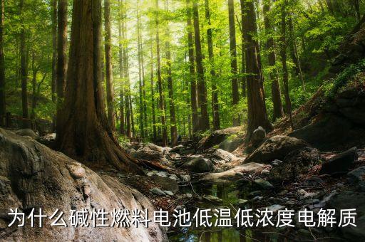 堿性燃料電池，堿性氫氧燃料電池反應(yīng)方程式