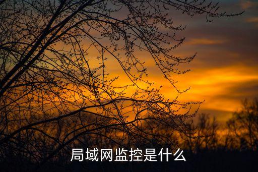 局域網(wǎng)監(jiān)控是什么
