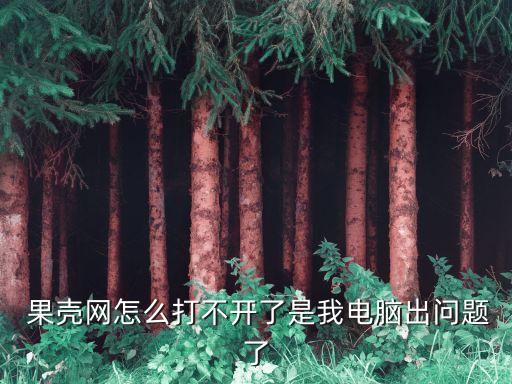  果殼網(wǎng)怎么打不開(kāi)了是我電腦出問(wèn)題了