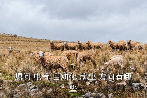 想問 電氣 自動化 就業(yè) 方向有哪些