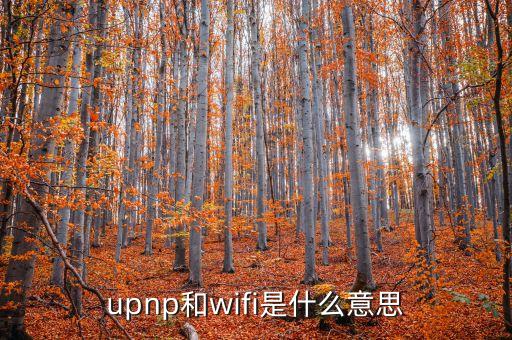 upnp和wifi是什么意思
