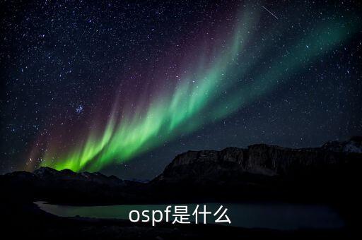 ospf是什么