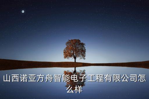 山西諾亞方舟智能電子工程有限公司怎么樣