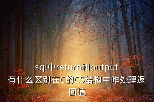 sql中return和output有什么區(qū)別在C的CS結(jié)構(gòu)中咋處理返回值