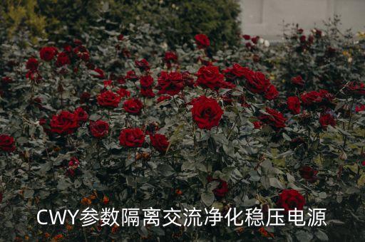 凈化穩(wěn)壓電源，高精度 JJW 精密凈化穩(wěn)壓器 穩(wěn)壓電源 鄭州哪有賣的