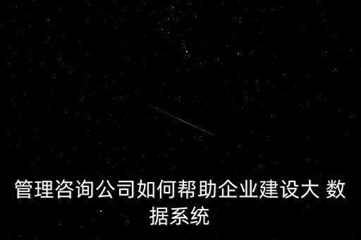 管理咨詢公司如何幫助企業(yè)建設大 數(shù)據(jù)系統(tǒng)