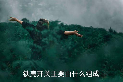 鐵殼開關(guān)主要由什么組成
