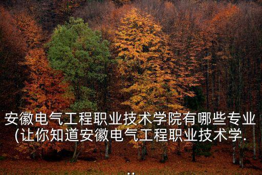 安徽電氣工程職業(yè)技術(shù)學院有哪些專業(yè)(讓你知道安徽電氣工程職業(yè)技術(shù)學...