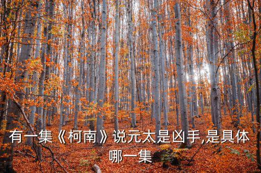 有一集《柯南》說元太是兇手,是具體哪一集