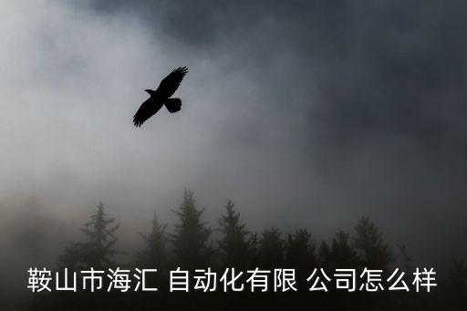 鞍山市海匯 自動化有限 公司怎么樣