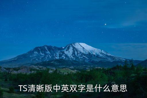 ts中文版，救助誰知道在那下TS的中文版的