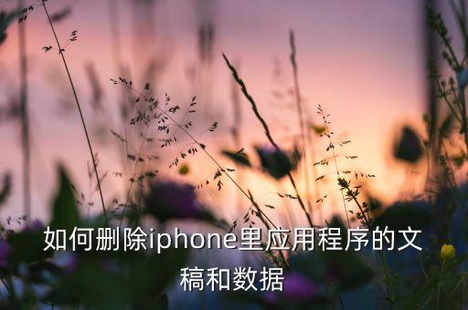 如何刪除iphone里應(yīng)用程序的文稿和數(shù)據(jù)