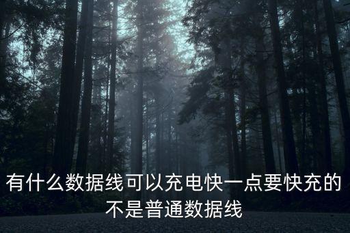 有什么數(shù)據(jù)線可以充電快一點要快充的不是普通數(shù)據(jù)線