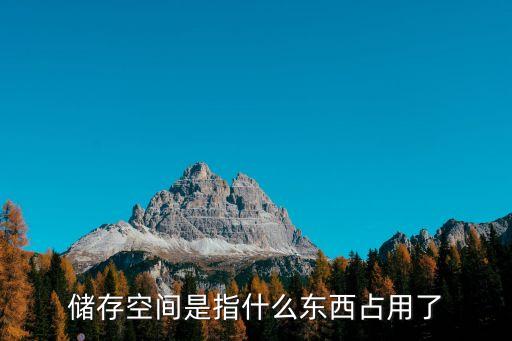 儲存空間是指什么東西占用了