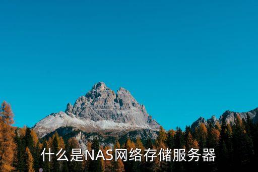 什么是NAS網(wǎng)絡(luò)存儲服務(wù)器