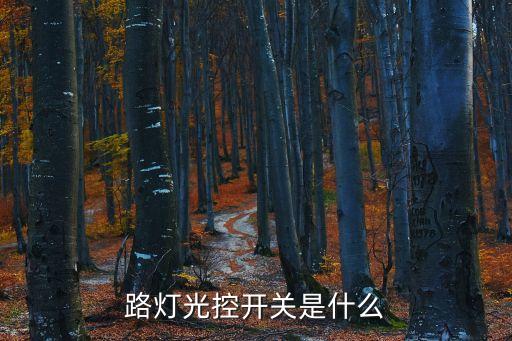 路燈光控開(kāi)關(guān)是什么