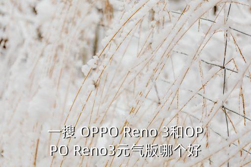 Reno3元?dú)獍?，一?OPPO Reno 3和OPPO Reno3元?dú)獍婺膫€(gè)好
