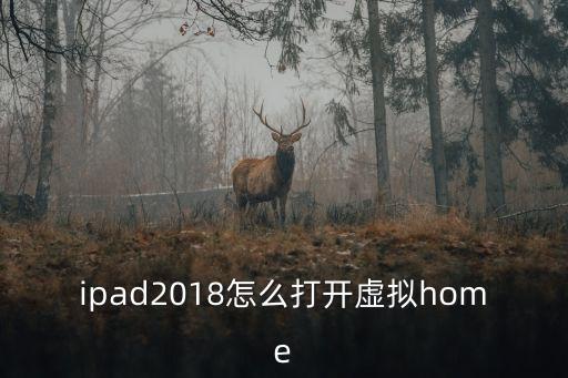 ipad2018怎么打開虛擬home